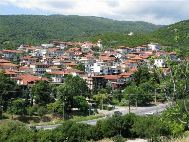 Apartments Erato Neos Panteleimonas Exterior foto